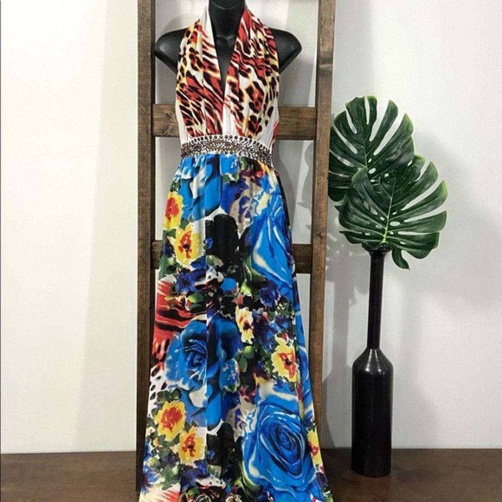 Minkas lined chiffon maxi dress sz S